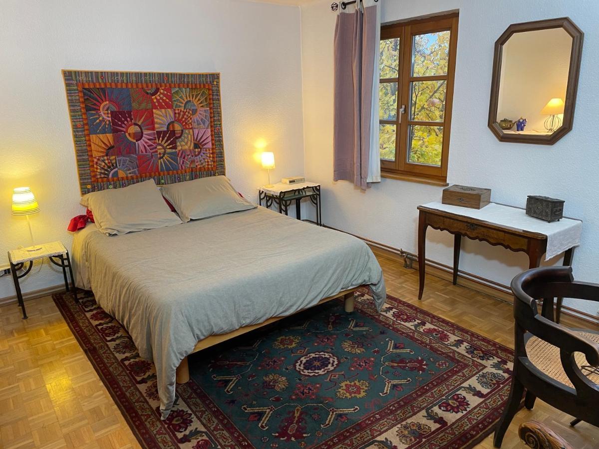 Chez Rosa Apartment Haguenau Bagian luar foto